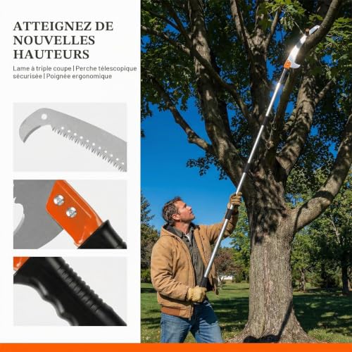 AMSGANK Scie à Élaguer Extensible, 3m Scie sur Perche Manuelle Outil d'Élagage pour Tailler Branches Hautes, Palmiers, Arbustes – vue 4