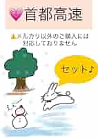 【土日限定特別価格】バスガイド資料　35点フルセット　教本　テキスト Amazon.co.jp: バスガイド資料・テキスト・教本首都高セット横羽