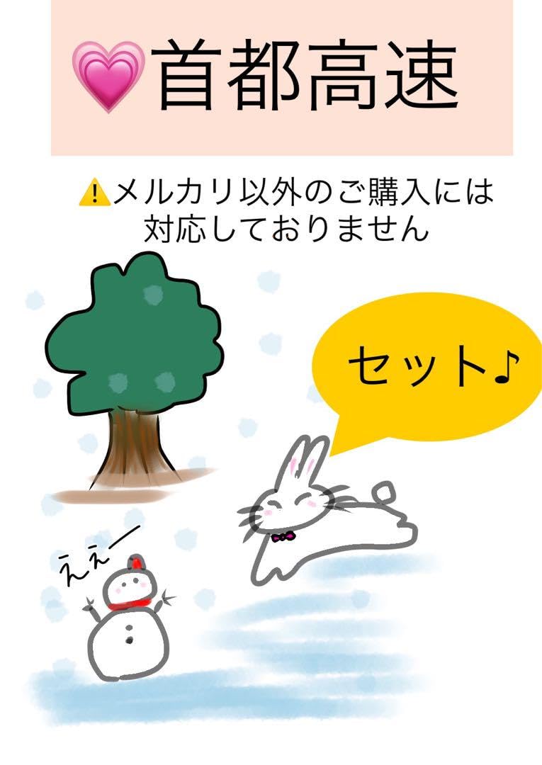 バスガイド資料・テキスト・教本【ちいちゃん専用】 Amazon.co.jp: バスガイド資料・テキスト・教本首都高セット横羽
