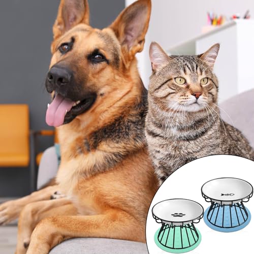 2Pcs Katzennäpfe Futternapf Katze Set mit Erhöht Ständer Metallhalter Base Haustiere Futterschüssel Anti Erbrechen Katzenschüssel für Katzen und Welpen