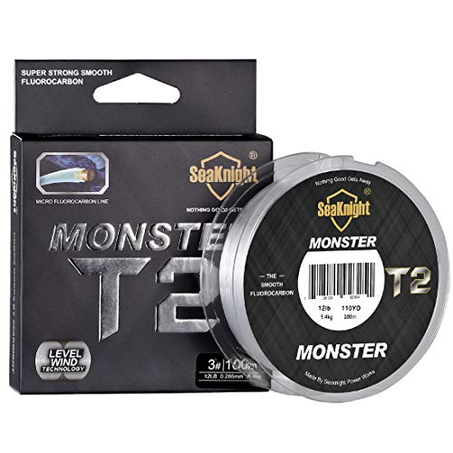 SeaKnight T2 - Línea de Pesca de fluorocarbono, 100 m, Revestimiento de fluorocarbono, monofilamento, línea de hundimiento