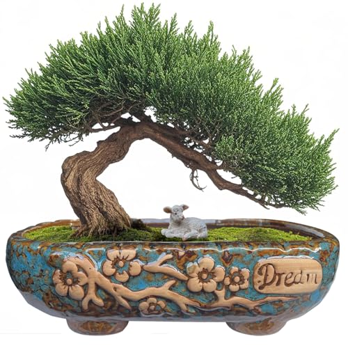 MUZHI 9.5 Inch Rectangular Rustic Planter