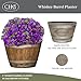 Classic Home and Garden Whiskey Barrel Planters - Home Flower Planter Pot - Decorative Garden Pots - Indoor & Outdoor Resin Planters - Weather-Resistant Planting Pots (15