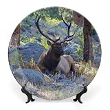 Rocky Mountain National Park Plates Ceramic for Display National Parks USA States Design Housewarming Gifts Wall Supplies Dinner Plates with Display Stand Halloween Party Decorations Custom Gifts, 8'