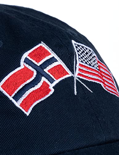 Image of Ann Arbor T-shirt Co. American Friendship Nations Flag Baseball Low Profile Dad Hat for Men Women