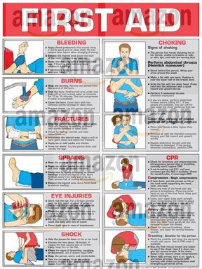 First Aid 18" X 24" Laminated Poster