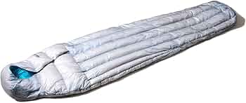 51RpvykSC2L._AC_UF350,