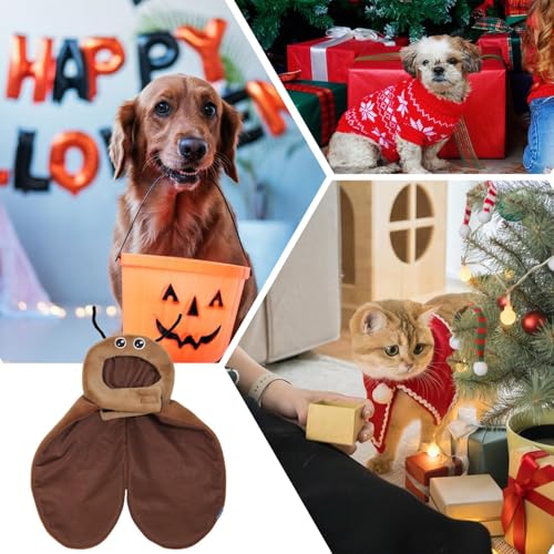 Disfraz para mascotas tipo cucaracha ideal para cosplay al aire libre y fiestas temáticas 8