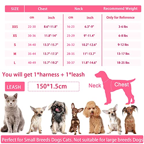 Petpubgnzs Soft Small Dog Harness And Leash Set Step In Air Mesh Puppy Harness Leash Easy Walk Dog Harness Vest Adjustable Reflective No Pull Dog Harnesses For Small Dogs Cats (Pink Blue,Xxs) #TOP5