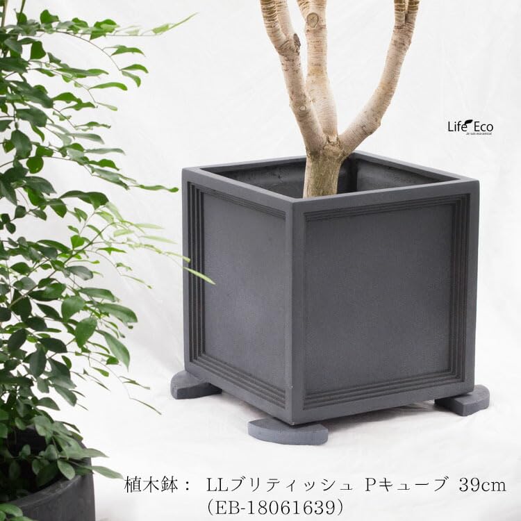 ☆まとめ売り☆植木鉢18個・ポットフィート14個・素焼き・テラコッタ・足・大型 植木鉢 素焼き鉢 テラコッタ シリンダーポット 18cm（6号）【4個