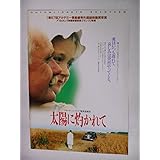 非売品プレスシート　太陽の灼かれて　ニキータ・ミハルコフ監督　オレグ・メ―シコフ　アカデミー賞最優秀外国映画賞・受賞　パンフレット仕様