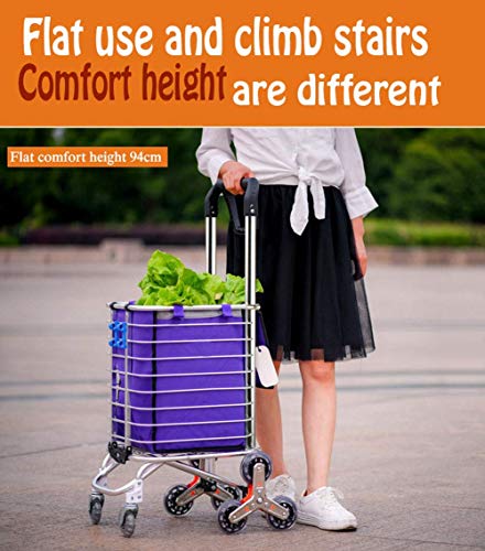 QHYXT Zusammenklappbarer, Faltbarer Einkaufstrolley für den Markt, Wäsche, Garten, Trolley, Edelstahl, verschleißfestes… – Bild 4