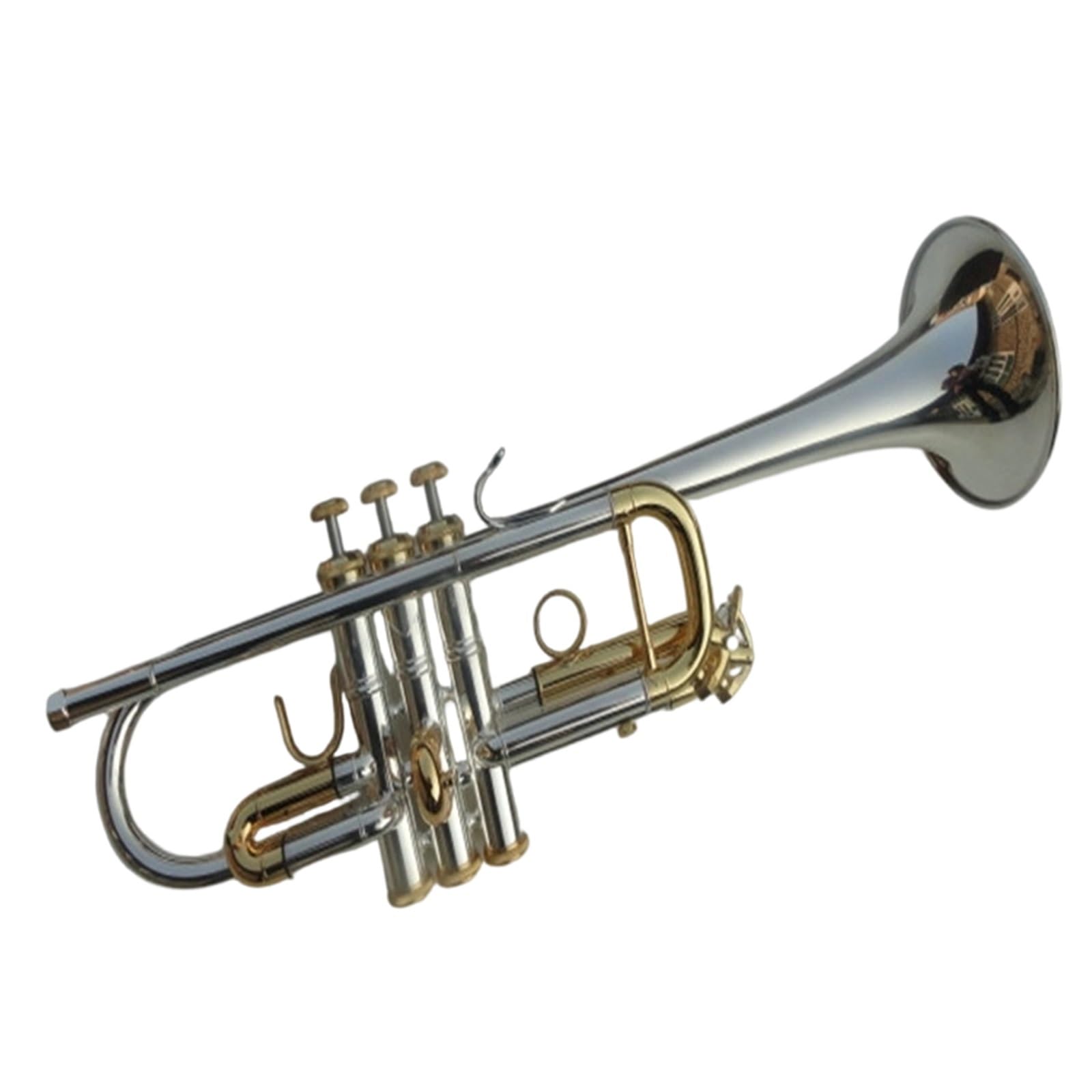 Instrument Muzyczny Trąbka Początkujący Dorośli Grający Na Instrumencie Trąbkowym C