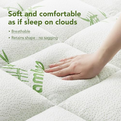 https://m.media-amazon.com/images/I/51RqGQc5JSL.jpg
