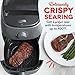 DASH Tasti-Crisp™ Electric Air Fryer Oven, 2.6 Qt., Grey – Compact Air Fryer for Healthier Food in Minutes, Ideal for Small Spaces - Auto Shut Off, Analog, 1000-Watt