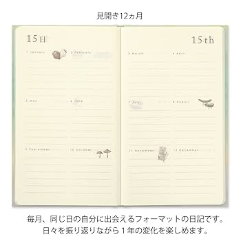 廃版品 BRAUN BNC006 MSF(新品未開封)1 ブラウン 電波式掛時計 BRAUN BNC006 MSF 廃盤品 保証書付