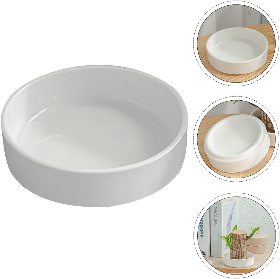 balacoo 2pcs Brazilian Wood Plant Pot: Ceramic Brazilian Wood Pallet Desk Flower Pots Plant Base ers Tabletop Tray Dish for Lucky