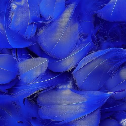 Mbsomnus 600 Pcs Feathers for Crafting Royal Blue Feathers Natural Craft Feathers 5-12 cm Feathers for DIY Crafts Dream Catcher Earrings Headdress Feather Flowers Wedding Party Holiday Decoration