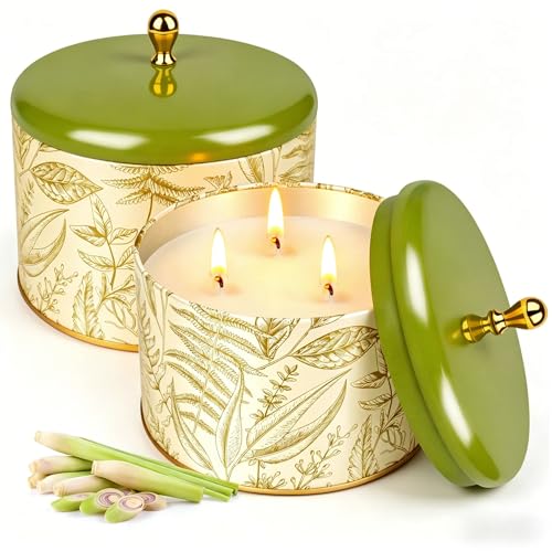 Citronella Candle Outdoor Citronella Candles Large 260 Hours Citronella Scented Candle Set 2 Pcs 100% Natural Soy Wax Candle with Lid Lemongrass Candle Gift Set for Home Garden Patio Party Camping