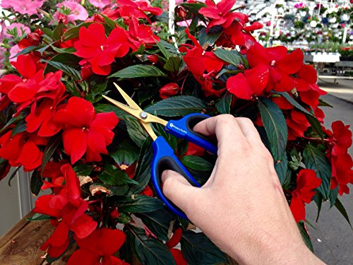 Happy Hydro - Trimming Scissors - Straight Tip - 40mm Titanium Blades - Ergonomic Comfort Grip Handles - 2 Pack - Thumbnail 7