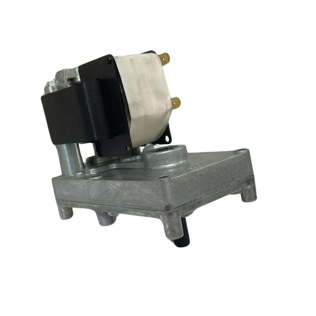 Velocidad del motor de transmisión: 3 rpm, diámetro del eje: 9,5 mm, para estufas de pellets y chimeneas de pellets: Arce, CLEMENTI, ENVIRO, VESCOVI, PASQUALICCHIO