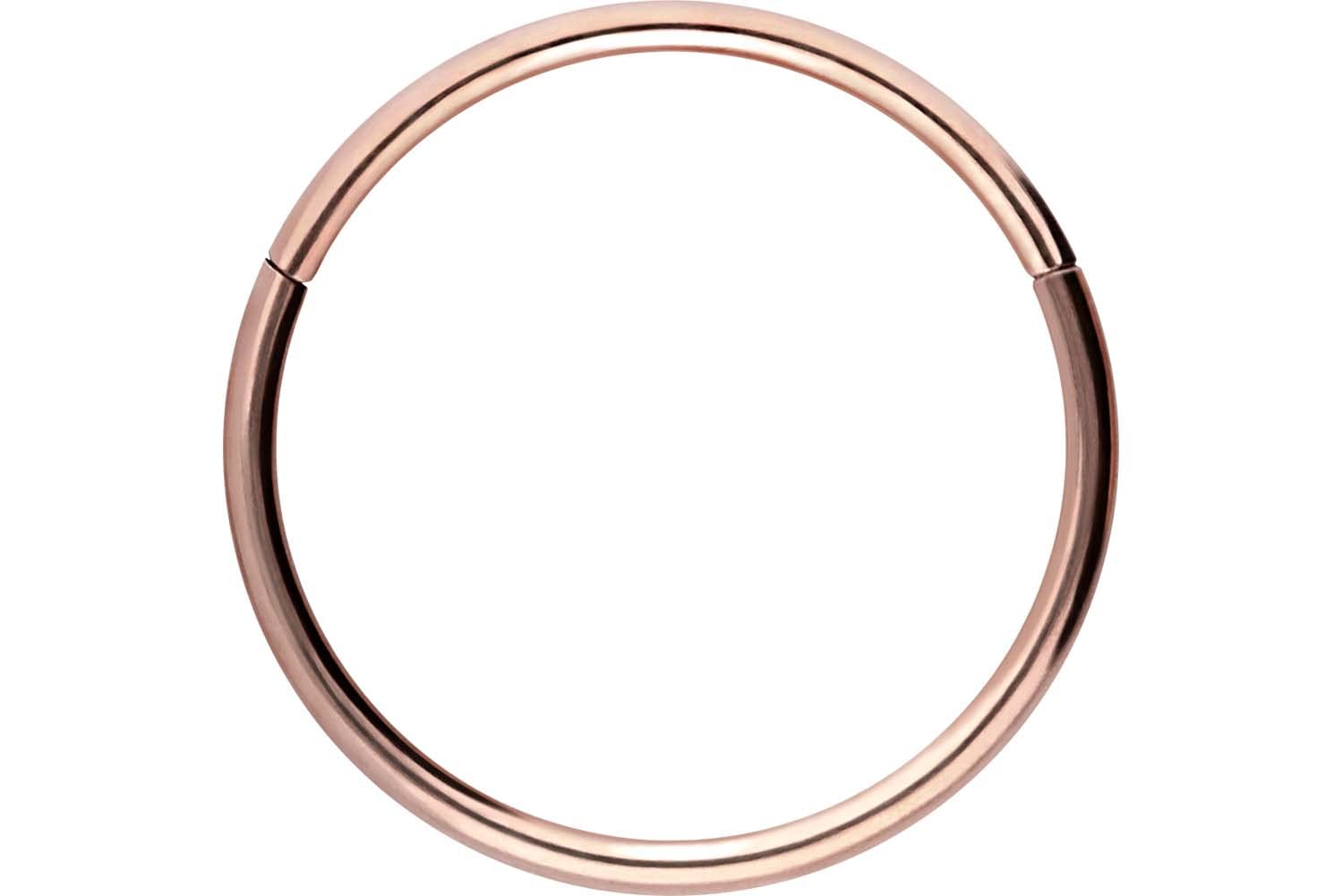 PIERCINGLINE Anillo segmento Clicker de acero quirúrgico – Piercing en oro, plata, rosa, negro o azul – para nariz, tabique, oreja, hélice o tragus — view 49
