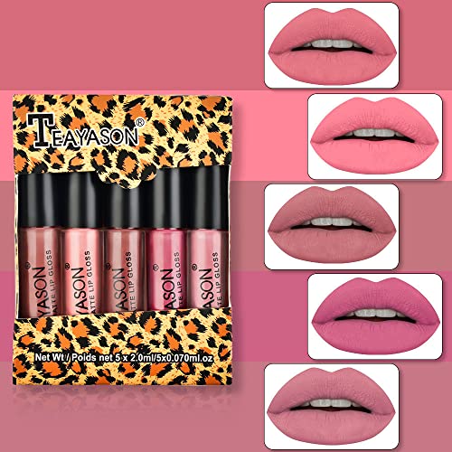 5 Color Matte Liquid Lipstick Set, Rose Mist Lipstick Long Lasting Lip Gloss Smooth Soft Nude Sexy Matte Lip Glosses Lipstick Makeup for Women Beauty Lip Gloss Cosmetics Wonderful Gift