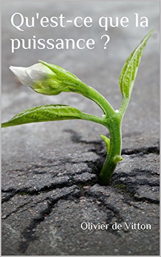Télécharger Qu'est-ce que la puissance ? PDF Ebook En Ligne