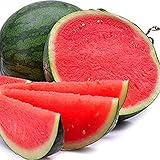 50 piezas Semillas de sandía sin semillas Semillas de sandía Jugo dulce Crecimiento sabroso Delicioso y saludable amado por la gente