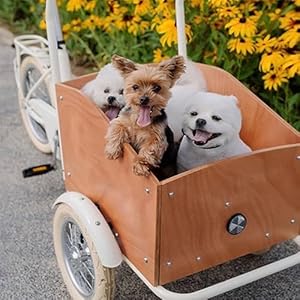 Pet-Bike-Dog-Trailer-Bicycle-Trailers-for-Travel-Strong-Load-Bearing-Capacity-Suitable-for-Going-Out-Black - Cucciolini Doodles   Pet-Bike-Dog-Trailer-Bicycle-Trailers-for-Travel-Strong-Load-Bearing-Capacity-Suitable-for-Going-Out-Black