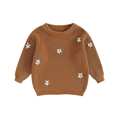Toddler Baby Girl Knit Sweater Round Neck Long Sleeve Floral Embroidery Warm Pullover Tops Infant Fall Winter Clothes