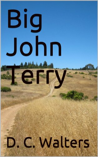 Big John Terry by [David C. Walters, Carolynn Klienhenz]