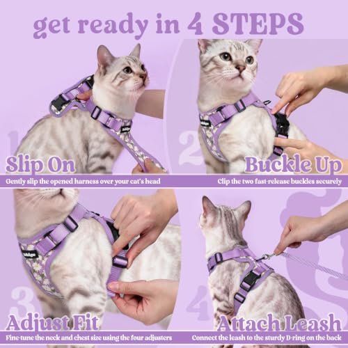 Image of rabbitgoo Cat Harness and Leash Set, Escape Proof Vest, Purr-ple Daisy | Soft Breathable Mesh, Easy Adjustable Fit, Snap Buckles, Sturdy Clip, Reflective Strips, for Average Cats Walks, S