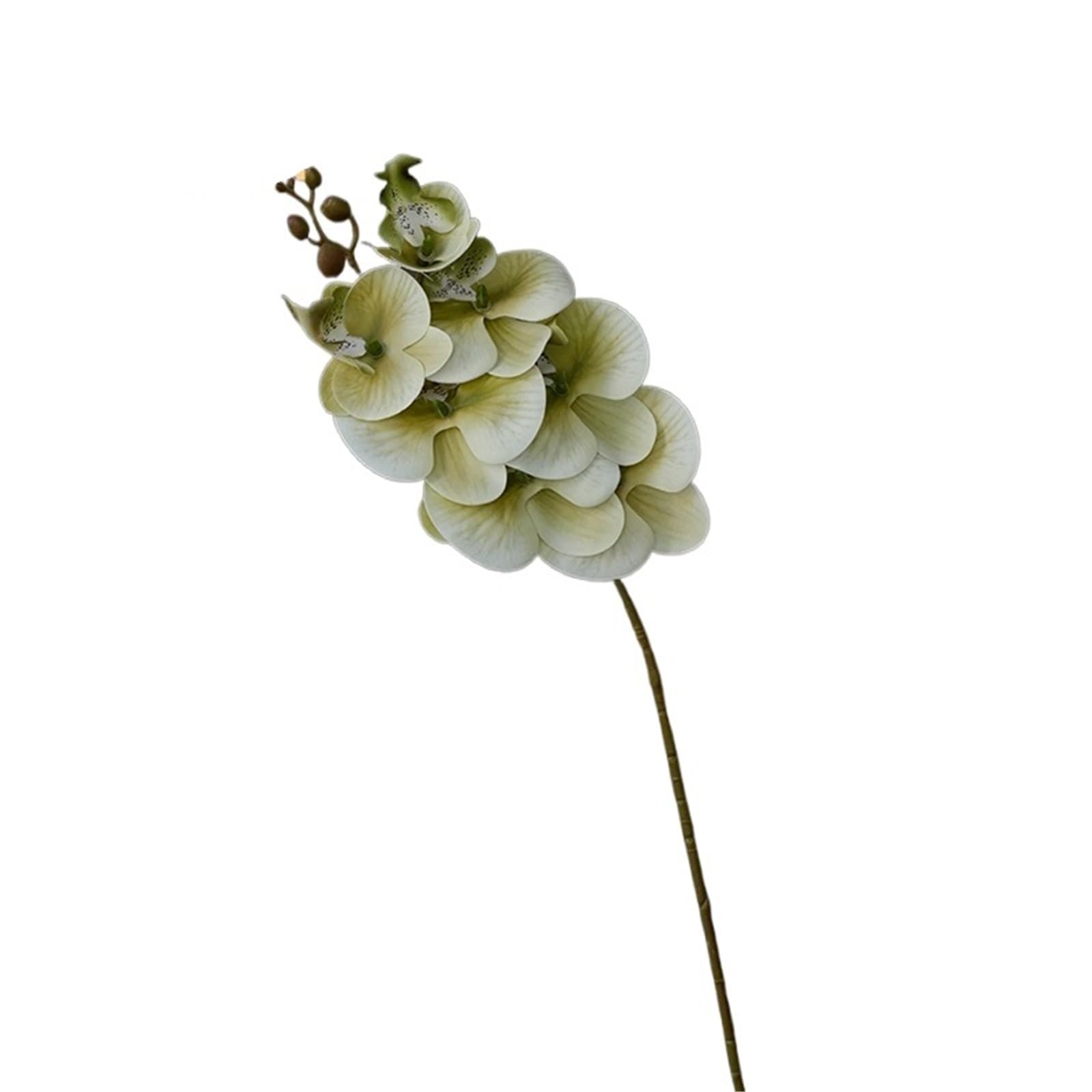 FonHNDG Artificial Flower Branches 1PC Simulation Flower Texture Orchid Fake Ornament Table Decoration(Green)