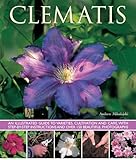 Clematis: An Illustrated Guide to Varieties, Cultivation and Care, with Step-By-Step Instructions and Over 150 Beautiful Photographs
