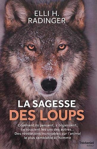La sagesse des loups : Comment ils pensent, s?organisent, se soucient les uns des autres...