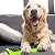 Case for LG TV Remotes, Remote Cover for LG Smart TV Remote Control AKB75095307 AKB75375604 AKB74915305 Original, Replacement Silicone Skin Sleeve Glow in The Dark Green