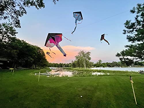 Narwhal Collection Large Delta Kite | Easy To Fly | For Kids And Adults | Great For Children At Beach Or Park | Outdoor Activity | Fun Family Activities For Boys And Girls (Watercolor) #TOP2