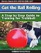 Get the Ball Rolling: A Step by Step Guide to Training for Treibball