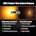 BRISHINE 194 LED Bulbs Extremely Bright Amber Yellow 5630 Chipsets 168 2825 175 T10 W5W LED Replacement Bulbs for Car Interior Map Dome Door Courtesy License Plate Lights(Pack of 10)