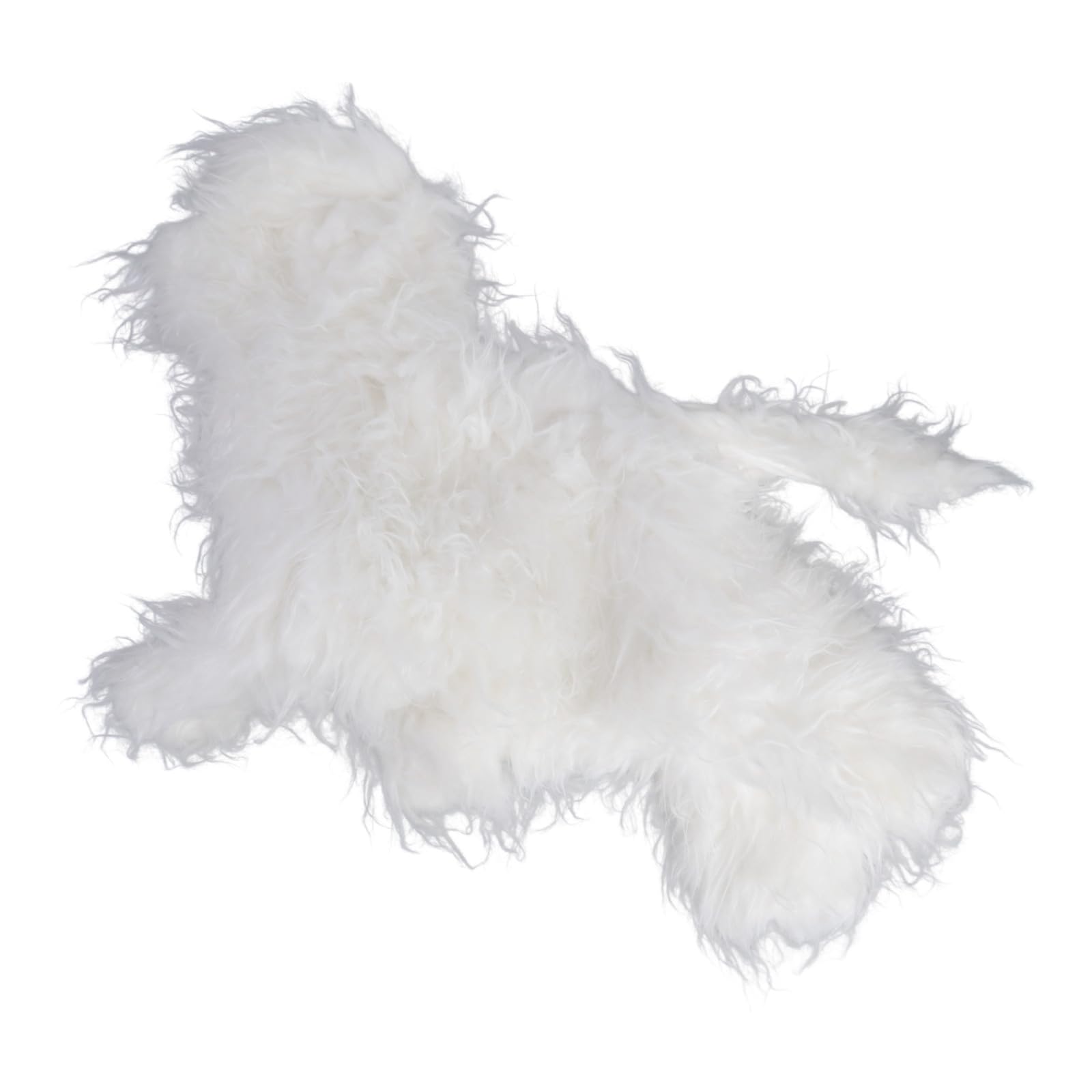 Pudelpflege Übungsmodell mit Strong, Bichon Frize White b
