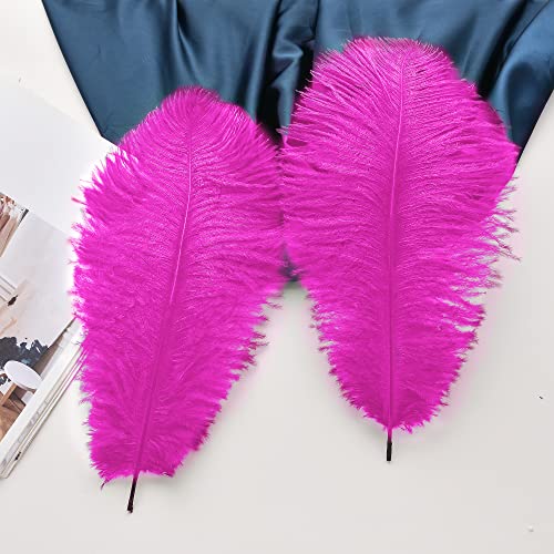 Plumas de avestruz fucsia para decorar jarrones altos sin marchitarse en eventos prolongados 5