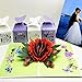 DWWTKL 5-Pack Flowers Pop Up Cards 3D Greeting Card Assortment for Women or Men on All Occasion Anniversary Valentine's Day Birthday or Wedding Christmas Congratulation