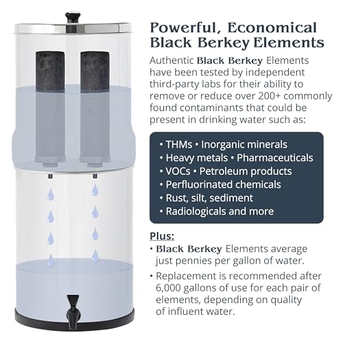 Filtre à eau Travel Berkey purificateur d'eau premium en acier - 3