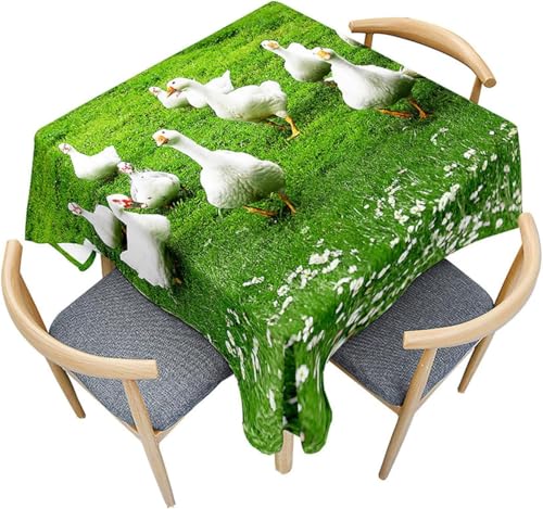 Tizhweqo Mantel Mesa Rectangular Pato, Manteles Antimanchas Animales de Granja, 3D Impresión Mantel Impermeable Lavable para Cocina Salón Comedor, 100x140 cm Q.P3273