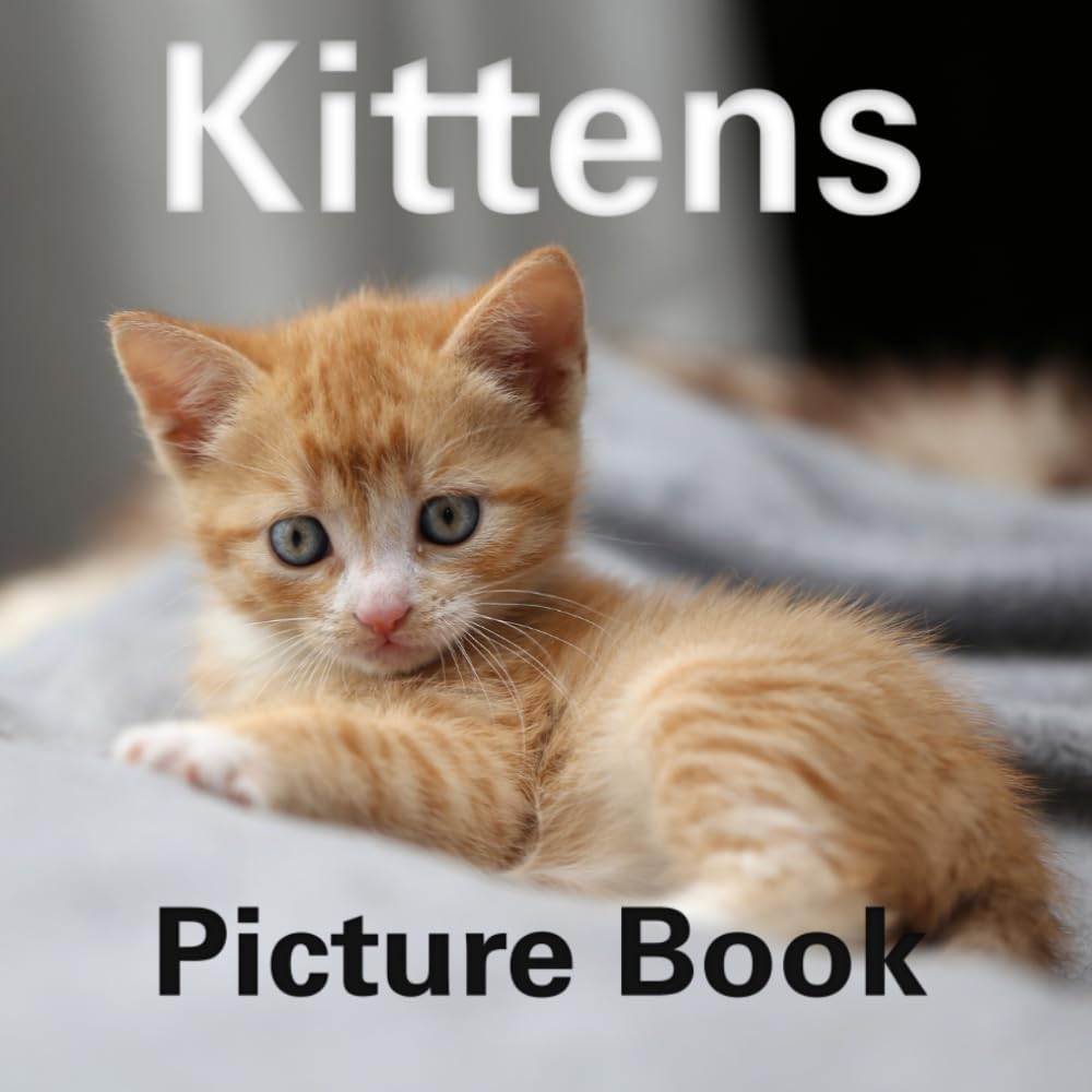 Kittens Picture Book: Dementia Picture Book for Seniors