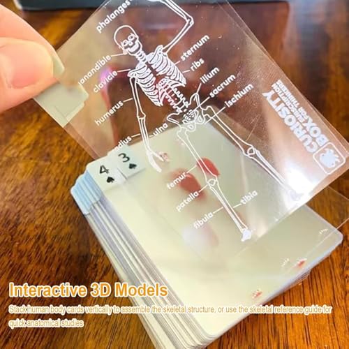 The Body Deck Playing Cards, 3D Transparent Human Anatomy Design, Educational Card Game, Waterproof Cards with Skeleton Illustrations - Image 4