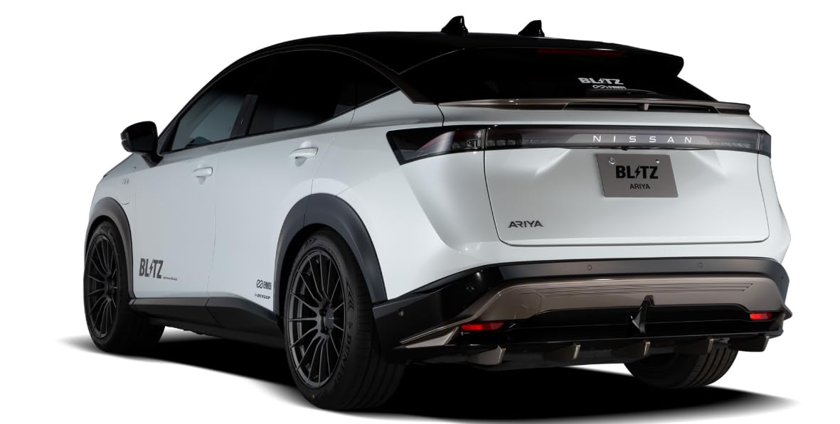 BLITZ ブリッツ DAMPER 車高調 サスペンション アリア BLITZ ブリッツ DAMPER 車高調 サスペンション アリア