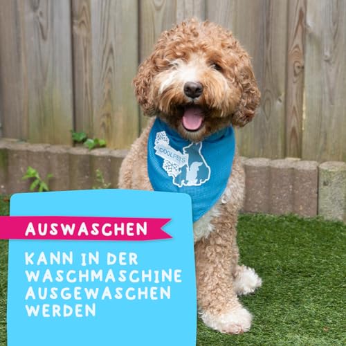 CoolPets Cooling Bandana - Hund Kühlung - Kühlung Halsband - Kühlendes Bandana für Hunden - Einfach zu bedienen - blau - Large