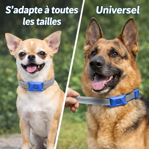 Collier anti puces pour chien réglable pour stopper les tiques